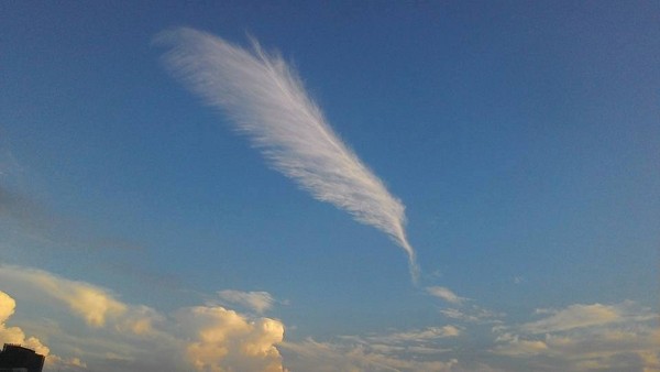 天使之翼掉落凡間 新竹這只 翅膀雲 美到讓人屏息 Ettoday生活新聞 Ettoday新聞雲