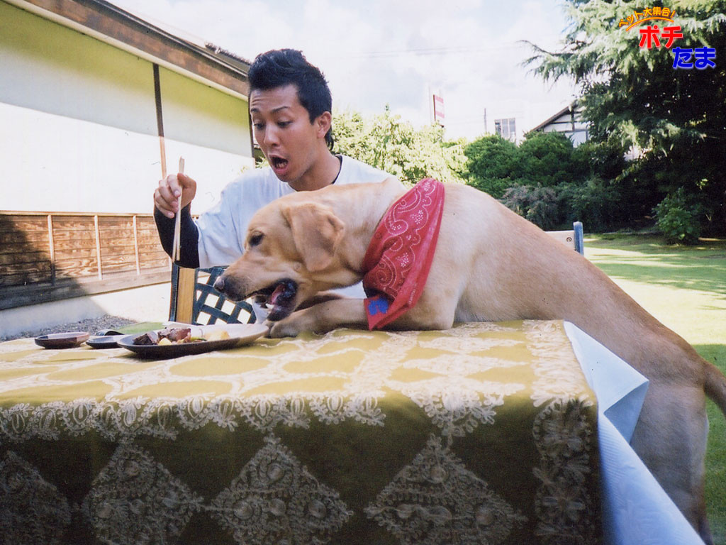 回顧雅夫 松本秀樹 雅夫 遇見你太好了 Ettoday寵物雲 Ettoday新聞雲