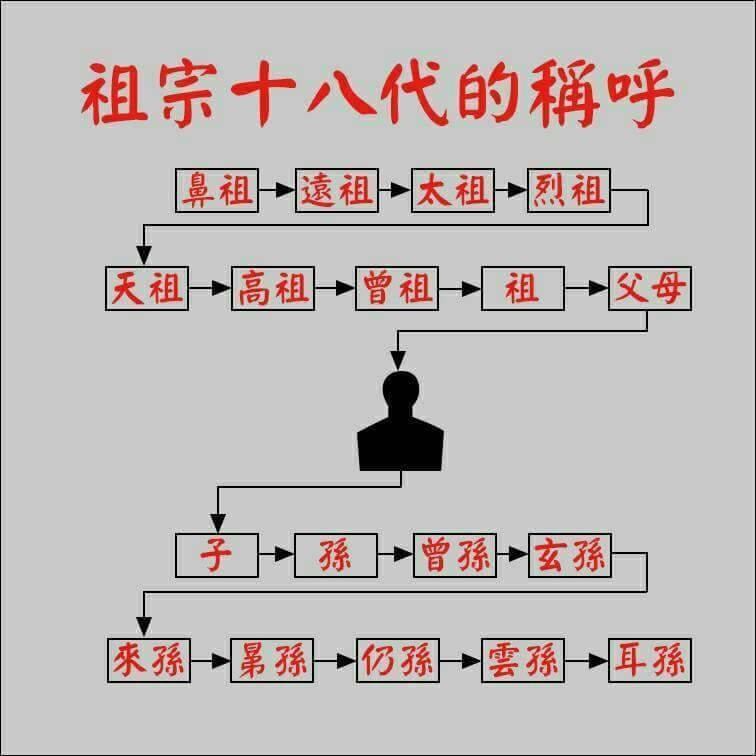 鼻祖