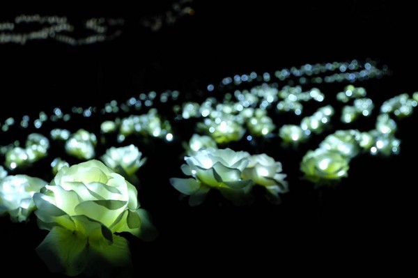 南投清境農場小瑞士花園（圖／取自清境農場綠豆粉絲團粉絲專頁）