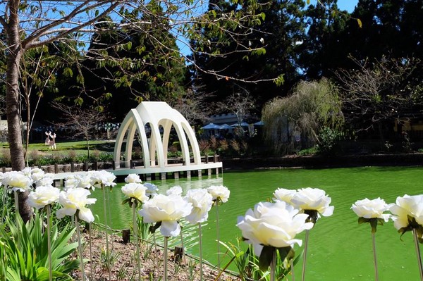 南投清境農場小瑞士花園（圖／取自清境農場綠豆粉絲團粉絲專頁）