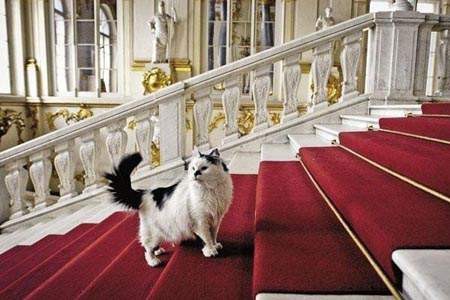 俄國冬宮博物館裡的「貓管理員」。(圖／取自byaki.net)