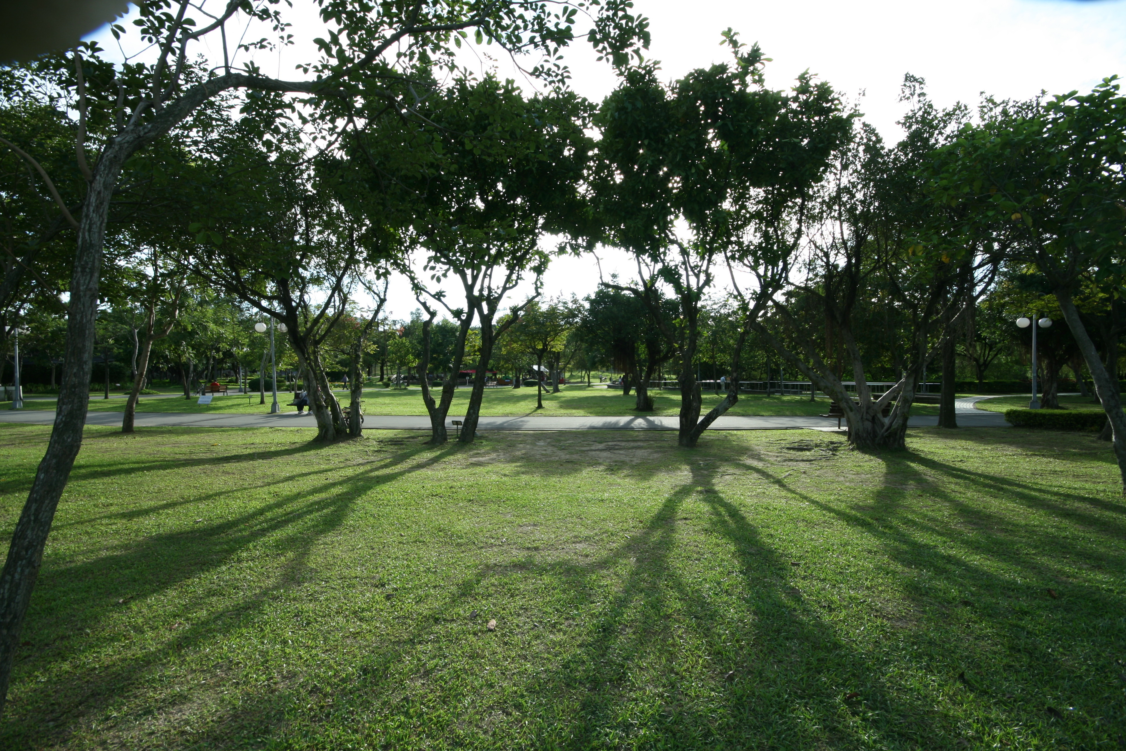 大安森林公園,假日,休憩,親子。（圖／記者李毓康攝）