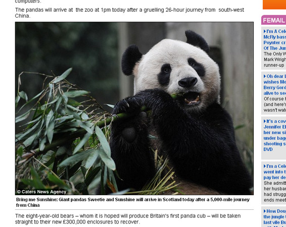 中國出借陽光與甜甜到英國愛丁堡動物園。(圖／翻攝自每日郵報） 