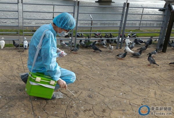 广东H7N9发现「变种病毒」通报世卫 广西再死