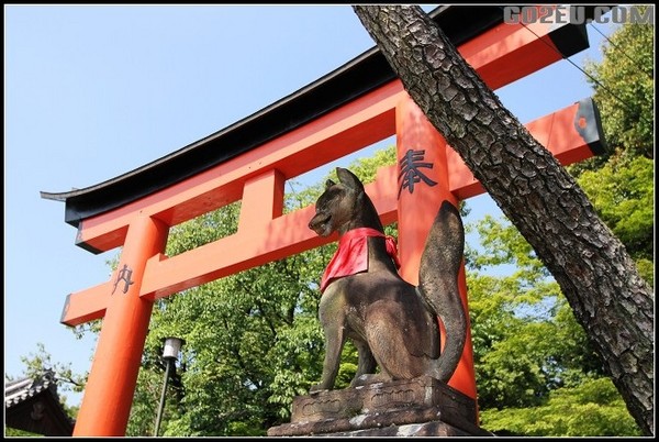 在雪中稻荷神社遇見狐狸 那模樣好像狐仙大人啊 鍵盤大檸檬 Ettoday新聞雲