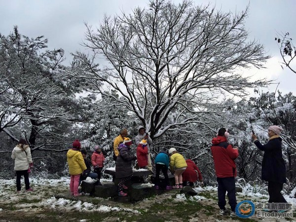 山 積雪 金剛 金剛山｜大阪から60分！1万回登っても飽きない、自然豊かな多彩なルートを楽しもう｜YAMA HACK