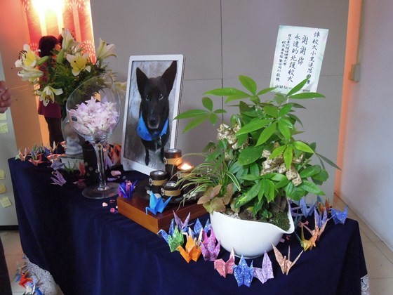 深夜伴女同學走回宿舍貼心校犬 小黑 葬禮隆重溫馨 Ettoday寵物雲 Ettoday新聞雲