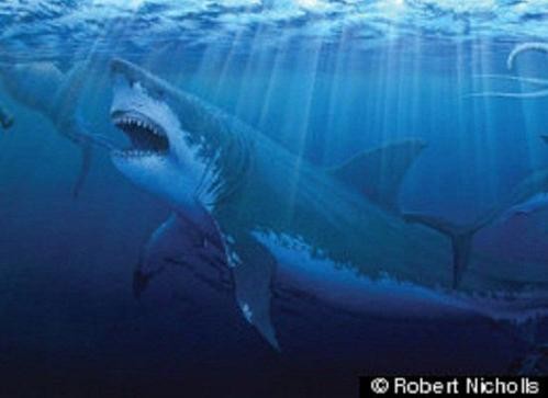 史前「巨齒鯊」長15公尺張口可吞暴龍頭| ETtoday新奇新聞| ETtoday新聞雲