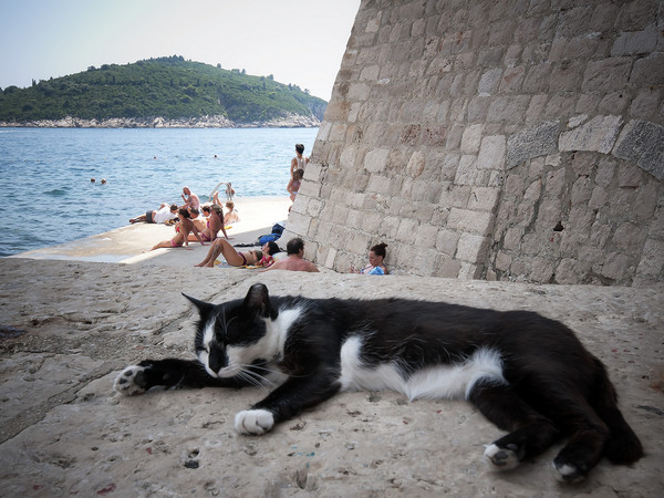 吉吉影院海猫网