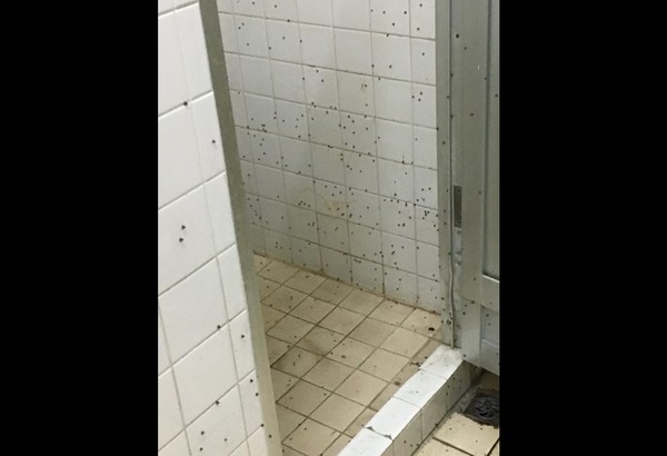 女大生宿舍浴室牆上滿是小蟲，讓她超崩潰。（圖／翻攝自爆料公社）