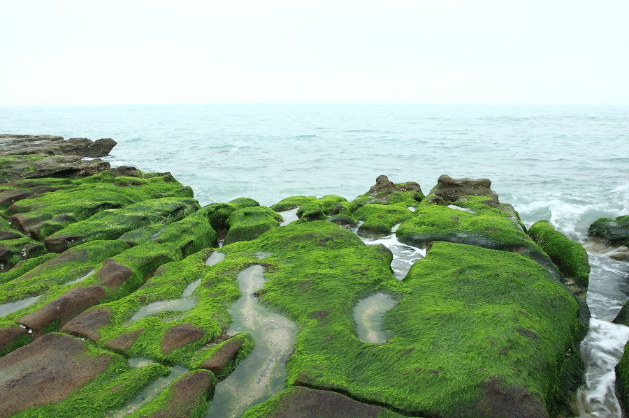北海岸老梅綠石槽。（圖／記者陳睿中攝）