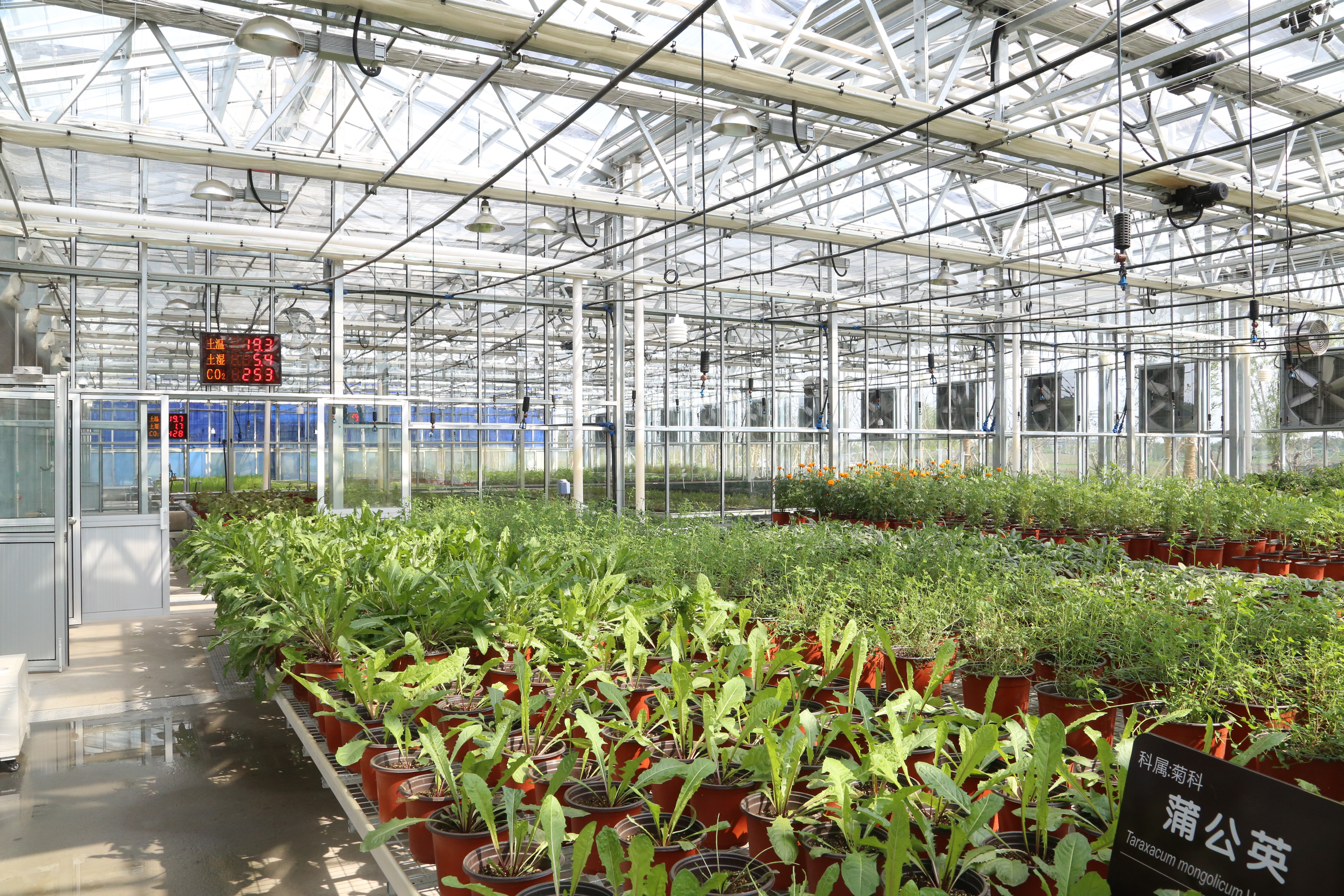 安利（中國）植物研發中心，科研溫室。（圖／安麗提供）