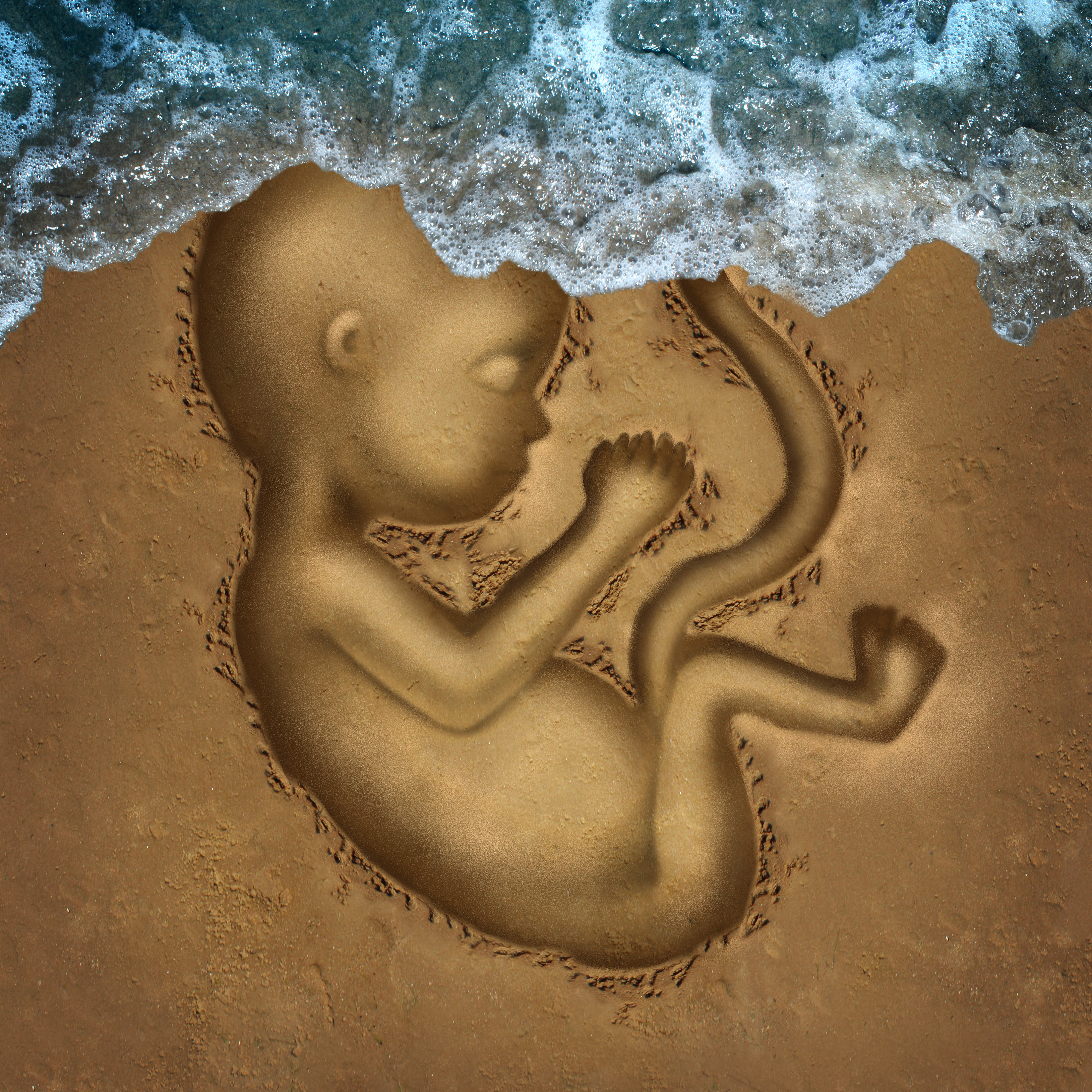 人造子宮,子宮,懷孕,以色列,代理孕母,挪亞方舟,不孕,倫理,科技