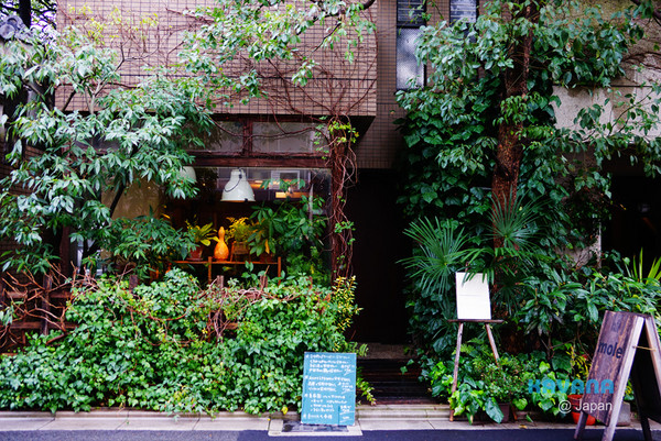 彷彿來到森林 被綠色植物包圍的京都咖啡廳 Ettoday旅遊雲 Ettoday新聞雲