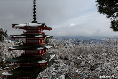 比京都更美！連日人都不曉的「新倉山淺間公園」