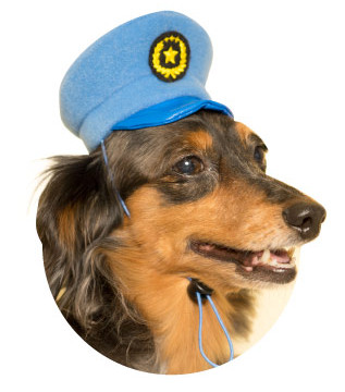 狗带警察帽子的图片图片