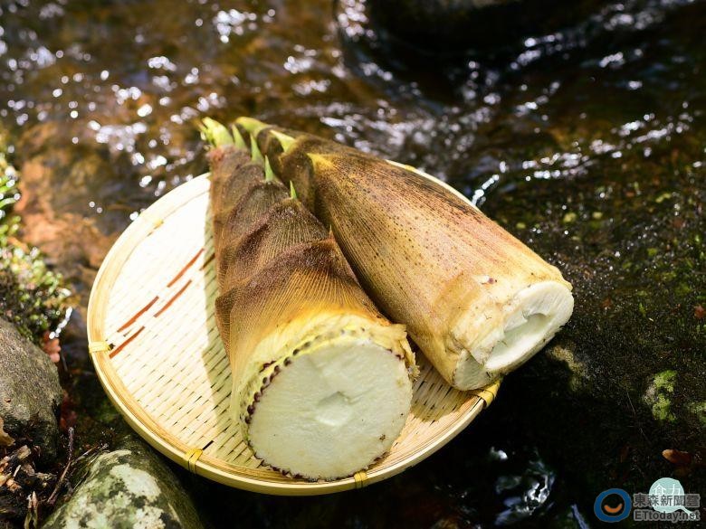 「筍友」到底怎麼分?一秒懂台灣常見6大竹筍 | ETtoday健康雲 | ETtoday新聞雲
