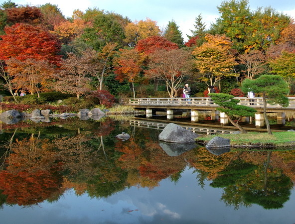 國營昭和紀念公園之內的日本式庭園。（圖片／日本觀光廳提供）