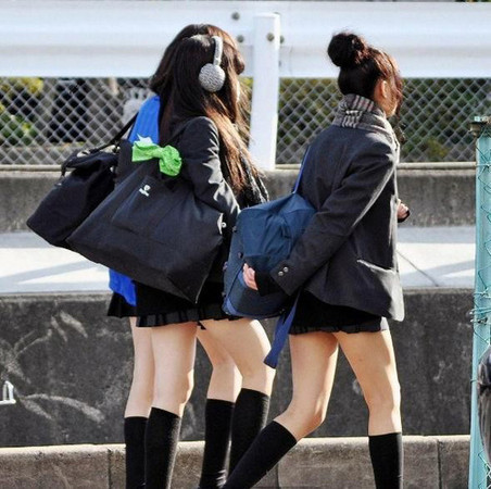 日本女高中生制服調查（圖／翻攝自大檸檬配圖）