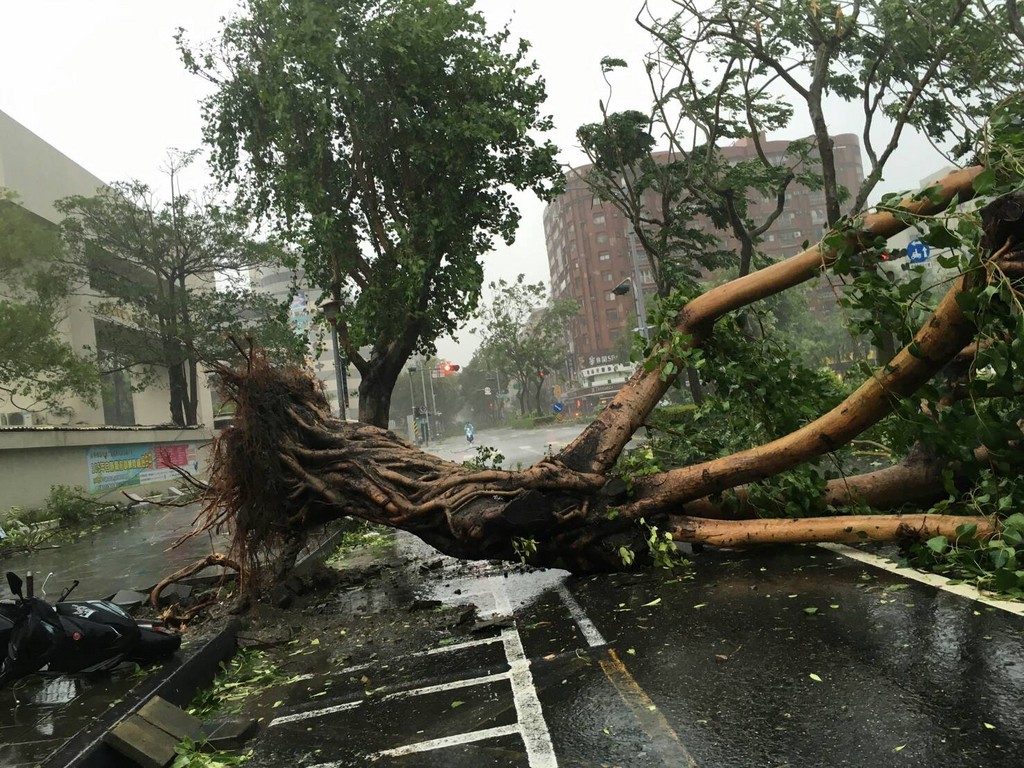 (图/读者提供)-第49页 | 莫兰蒂台风肆虐,像炸弹轰过 | et fashion