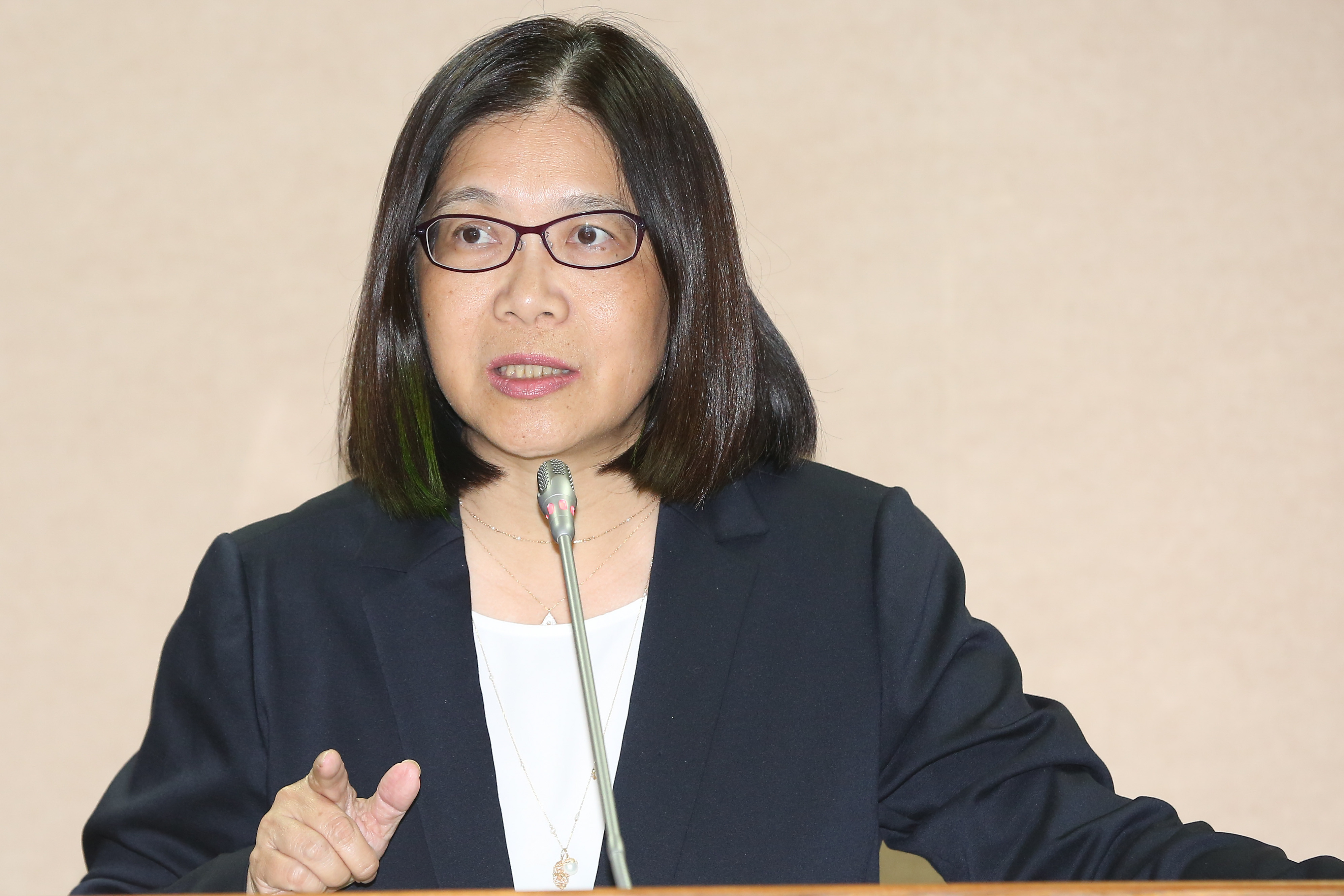 立法院第九屆第2會期司法及法治委員會會議,管碧玲（圖／記者李鍾泉攝）