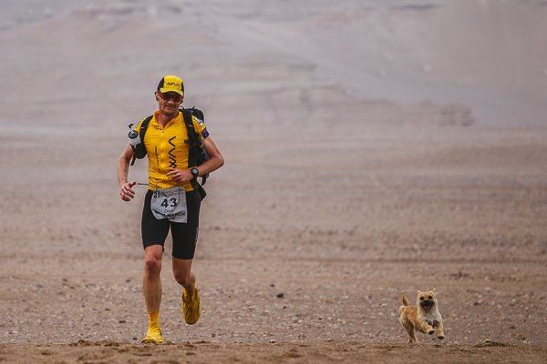 李奧納德在戈壁沙漠跑超馬時，遇上流浪狗Gobi「愛相隨」，決定把牠帶回英國。(圖／翻攝自Leonard推特)