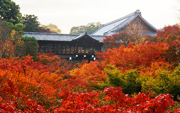 療癒和風行旅 深秋京都楓又紅南紀溫泉感受傳統文化 Ettoday旅遊雲 Ettoday新聞雲