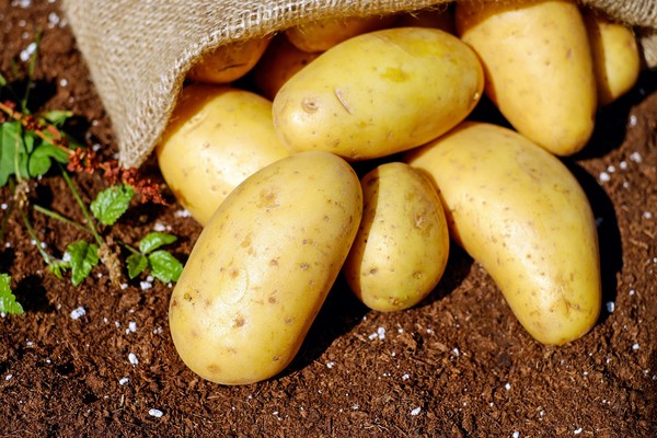 未加工的馬鈴薯是相對健康的食物。