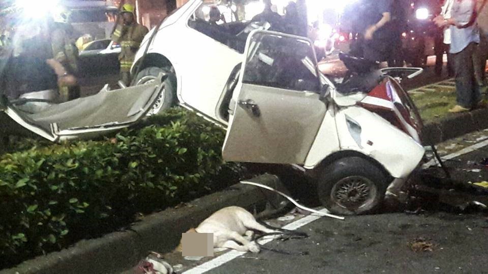 高雄市中華四路、三多四路口發生四車追撞車禍，造成MINI Cooper女車主重傷、其拉布拉多愛犬傷重不治。（圖／翻攝「爆料公社」臉書粉專）