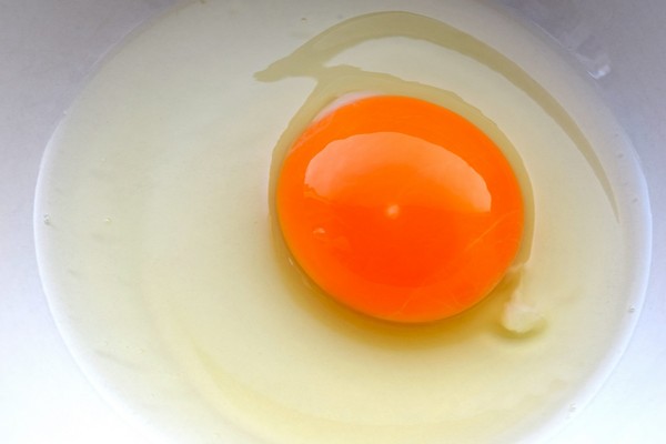 雞蛋,生蛋,蛋白,蛋黃。（圖／取自librestock網站）