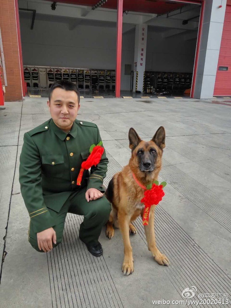 南京消防戰士沈鵬退伍，帶上陪伴自己8年的夥伴「沈虎」。（圖／取自「平安江蘇」微博）
