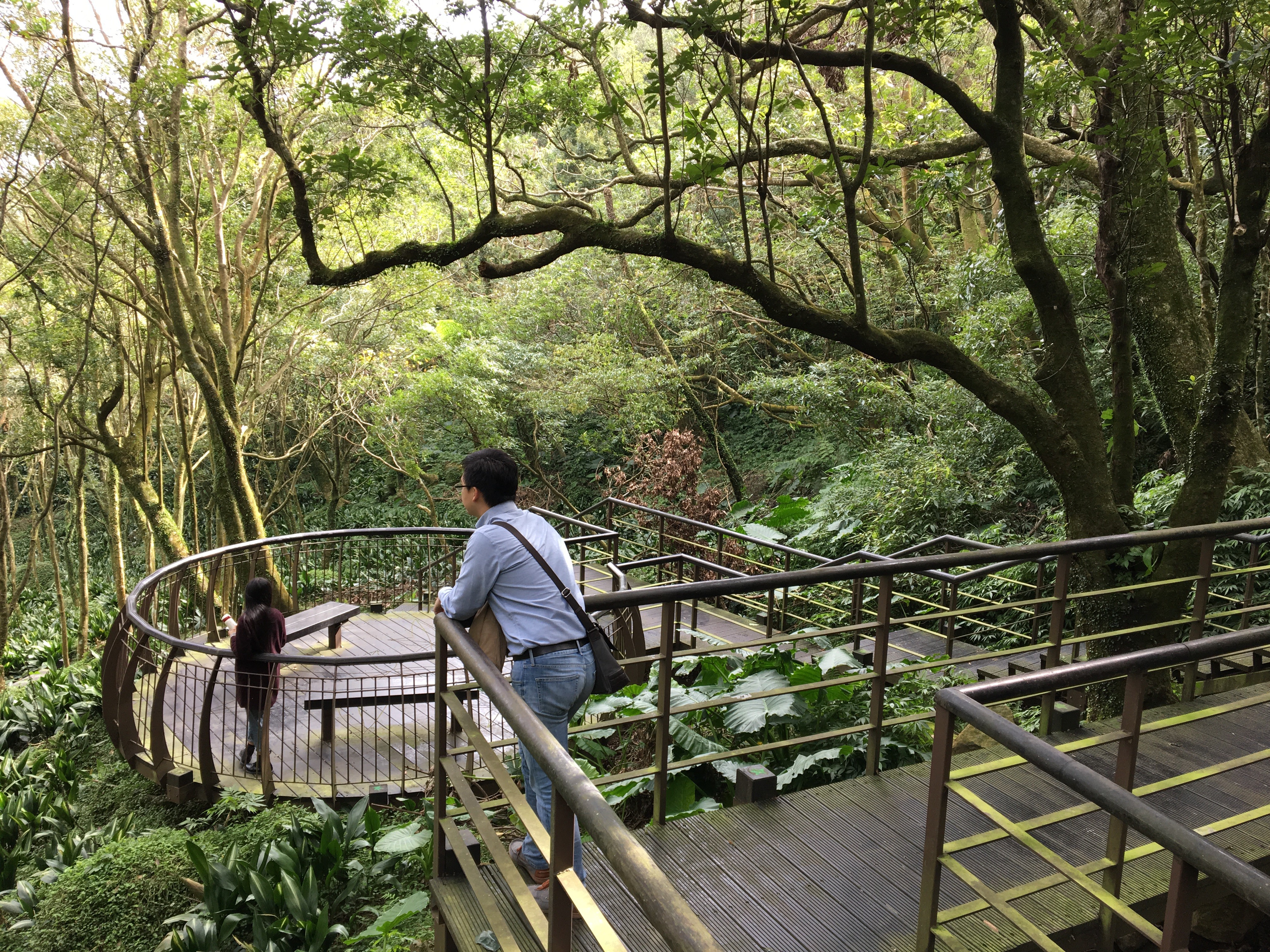 台北森林清幽秘徑 竹子湖青楓步道楓正紅 Ettoday旅遊雲 Ettoday新聞雲
