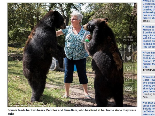 62歲婦養2棕熊1白虎當寵物網友 地表最強阿嬤 Ettoday寵物雲 Ettoday新聞雲