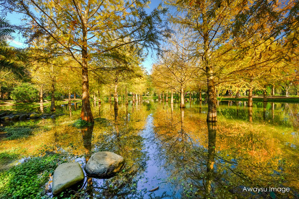 ▲花蓮鈺展苗圃。（圖／阿偉蘇攝影）