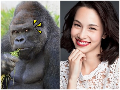 日本流行「猩猩臉美人」！到底是稱讚還是罵人啊ˊAˋ