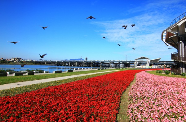 延平河濱花海（圖／臺北市政府工務局水利工程處提供）