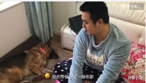 南京消防員退伍後帶搜救犬一起生活。（圖／翻拍「平安江蘇」微博）