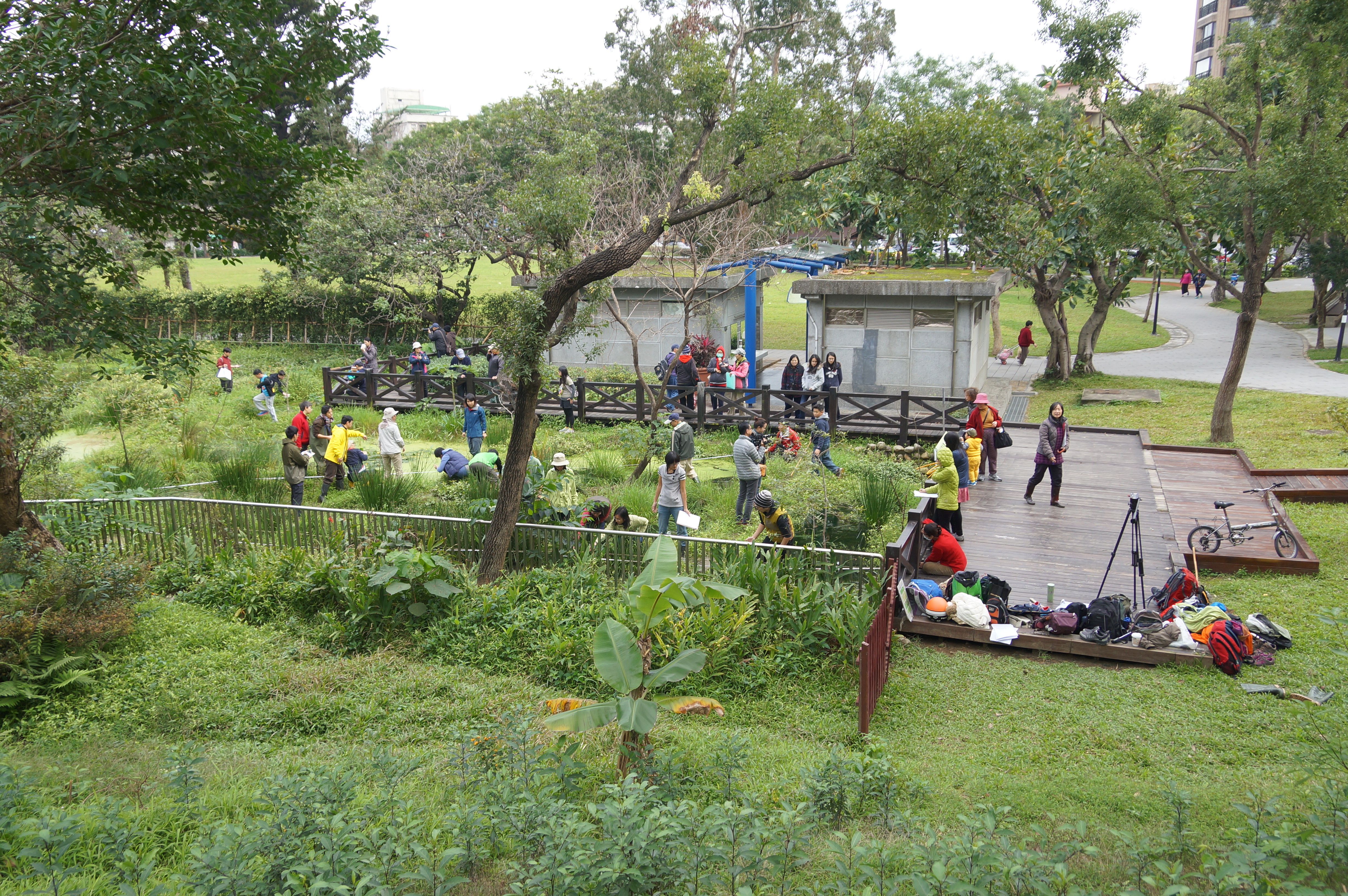 大都會的小桃源榮星花園公園螢火蟲 鳳頭蒼鷹都回家 Ettoday地方新聞 Ettoday新聞雲