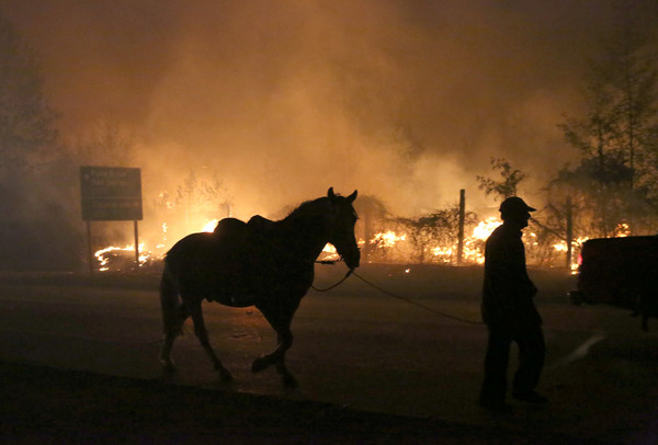 ▲智利發生史上最嚴重森林大火。（圖／路透社）