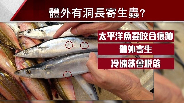 秋刀魚 兩個洞 真相 魚蝨咬合痕跡 大丈夫 Ettoday生活新聞 Ettoday新聞雲
