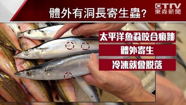 秋刀魚 兩個洞 真相 魚蝨咬合痕跡 大丈夫 Ettoday生活新聞 Ettoday新聞雲