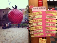 大湖草莓相關新聞報導 評價 資訊 訊息 照片 影片及懶人包 Ettoday新聞雲