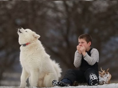 心靈回歸純淨的30秒　雪地裡小男孩吹口琴、大白狗在他身邊唱歌