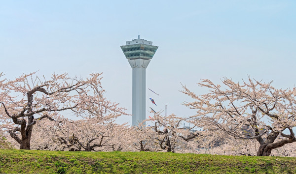 春花怒fun北海道日本季節限定心動時刻 Ettoday旅遊雲 Ettoday新聞雲