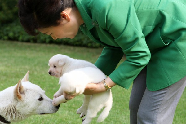 朴槿惠與珍島犬。（圖／取自朴槿惠臉書）