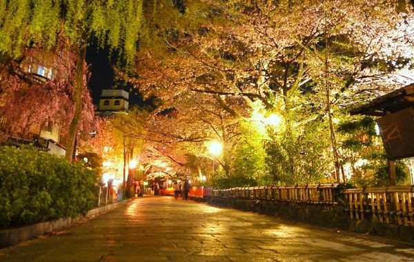 停辦一年京都春天必看 祇園夜櫻點燈 宣布19恢復舉行 Ettoday旅遊雲 Ettoday新聞雲