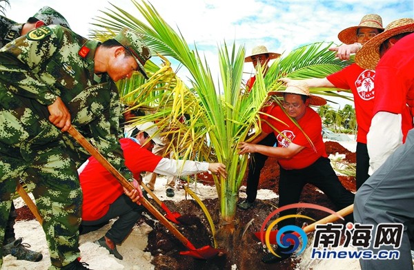 三沙軍警民代表在西沙趙述島進行植樹活動，用31個省市自治區及港澳台地區的土壤，和從青海三江源所取母親河之水種植一棵「華夏同心樹」。（圖／翻攝自南海網）