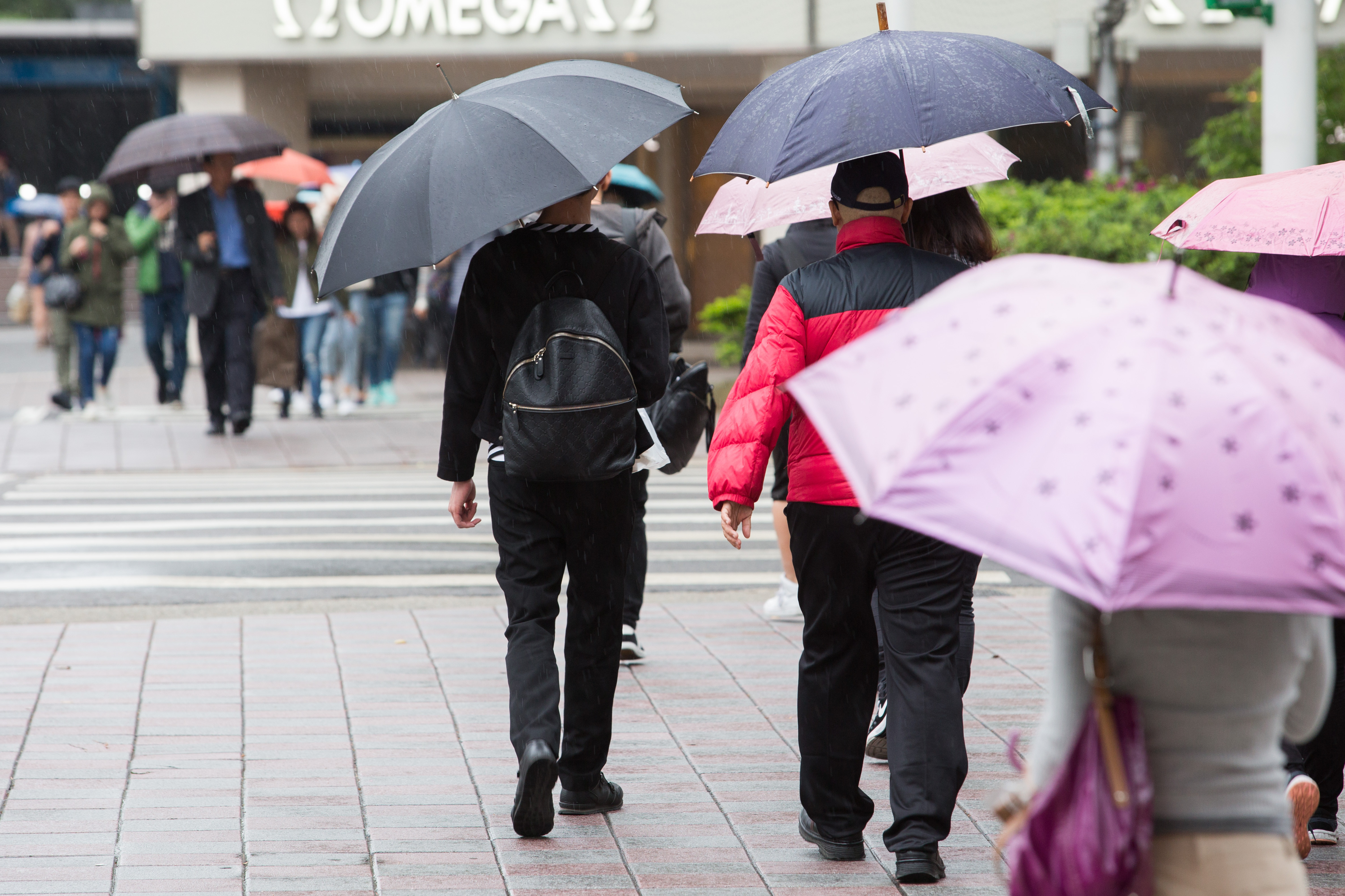 下雨天,撐傘,行人,鋒面,東北季風,天氣,陣雨（圖／記者季相儒攝）