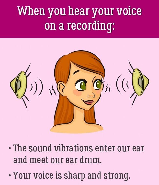 Как понять выражение слышен голос звонкий. Люди которые слышат голоса. Почему человек слышит голоса. Почему человек слышит свой голос. Причины записи голосовых.